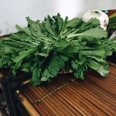 Tổng hợp- Quán Ăn Xôi Cá Rô Đồng