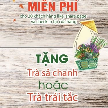 Tổng hợp- Quán Ăn Xôi Mai - Tông Đản