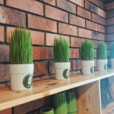Tổng hợp- Quán Ăn Xôi Tám - Thái Hà