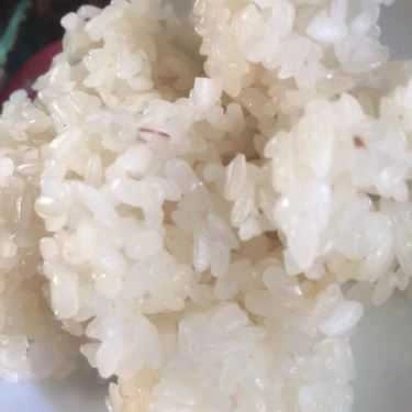 Món ăn- Quán Ăn Xôi Thịt Hon & Bún Bò