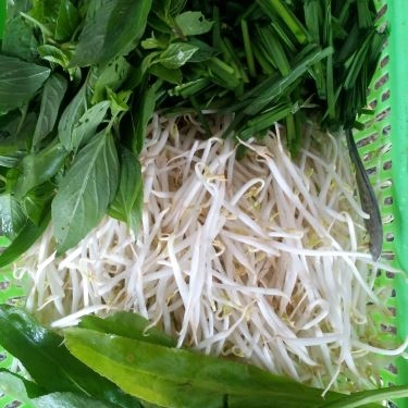 Tổng hợp- Quán Ăn Xuân Thu - Cháo, Gỏi & Bún Măng Vịt