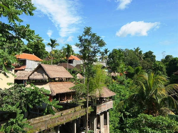 Ở Ubud, bạn sẽ tìm thấy sự yên tĩnh nhưng không buồn chán. 