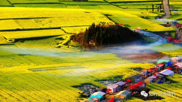 Hoa cải ở La Bình không chỉ được trồng thành từng vườn hay thửa ruộng mà trải dài khắp diện tích 300.000 mẫu, xen giữa là những ngọn đồi nhỏ và khu dân cư của người dân địa phương. Mùa hoa cải La Bình thường bắt đầu từ sau Tết nguyên đán, cuối tháng 2 cho tới đầu tháng 4, khi những thửa ruộng bát ngát đồng loạt nở hoa đã tạo nên một khung cảnh rực rỡ của mùa xuân Vân Nam. 