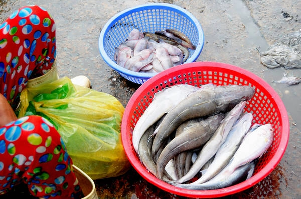 Nhiều "gian hàng" chỉ vẻn vẹn hai rổ nhỏ với các loại cá khác nhau. Hầu hết người bán đều là dân nghèo. "Đêm nào tôi cũng tranh thủ thức đêm ở chợ cá để mua giá rẻ. Sáng ra bán kiếm lãi vài chục nghìn đồng trước khi đi làm việc khác", một người bán nói.