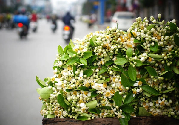 Ảnh: Nhân Dân Ảnh: Nhân Dân