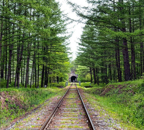 Jeongseon thuộc vùng núi phía đông tỉnh Gangwon, nơi đây được biết đến với cảnh quan nhiều cây xanh, núi đồi, những đường tàu hỏa xuyên rừng đẹp như tranh. Hai điểm đến nổi bật nhất ở Jeongseon là làng cổ Arirang, nơi sản sinh ra bài hát dân ca Arirang mang đặc trưng của xứ sở kim chi. Arirang cũng là tên một đài truyền hình lớn ở Hàn Quốc Jeongseon thuộc vùng núi phía đông tỉnh Gangwon, nơi đây được biết đến với cảnh quan nhiều cây xanh, núi đồi, những đường tàu hỏa xuyên rừng đẹp như tranh. Hai điểm đến nổi bật nhất ở Jeongseon là làng cổ Arirang, nơi sản sinh ra bài hát dân ca Arirang mang đặc trưng của xứ sở kim chi. Arirang cũng là tên một đài truyền hình lớn ở Hàn Quốc