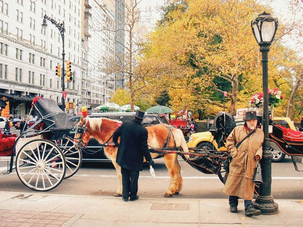 em-co-nghe-mua-thu-o-new-york-ivivu-3
