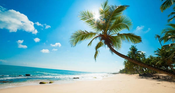 Ảnh: tour-asia.net Ảnh: tour-asia.net