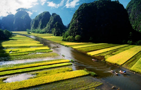 Lúa chín tạo ra những mảng màu vô cùng đẹp mắt. Ảnh: Đỗ Việt Cường Lúa chín tạo ra những mảng màu vô cùng đẹp mắt. Ảnh: Đỗ Việt Cường