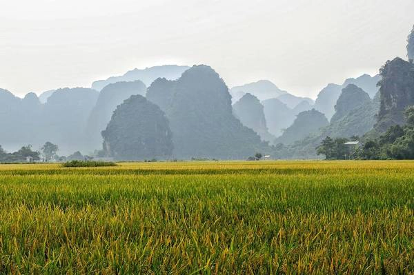 Dưới những dãy núi đá vôi là cánh đồng lúa trải dài bất tận. Ảnh: Mathias Lasoen Dưới những dãy núi đá vôi là cánh đồng lúa trải dài bất tận. Ảnh: Mathias Lasoen