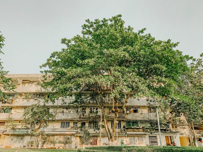 Bán đảo Bình Quới - Thanh Đa được bao bọc bởi sông Sài Gòn và kênh Thanh Đa. Chỉ cách trung tâm thành phố chưa đầy 5 km nhưng khu vực này được ví như một "ốc đảo - nơi thời gian ngừng lại" bởi những hình ảnh vừa cũ kỹ, vừa giản dị, mộc mạc, đối lập hẳn với khung cảnh hiện đại phía bên kia sông.