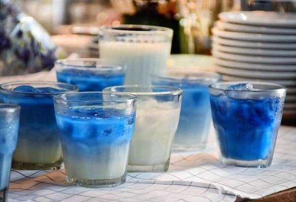 Đa số đồ uống ở Blue Whale có màu xanh nước biển mát mắt. Không ít khách thú nhận, họ ghé quán chỉ vì muốn có những shot hình ảo diệu dù chất lượng nước uống chỉ ở mức bình thường. Vì vậy, đừng ngạc nhiên khi bước vào quán, bàn nào cũng gọi ít nhất một ly latte đậu biếc.