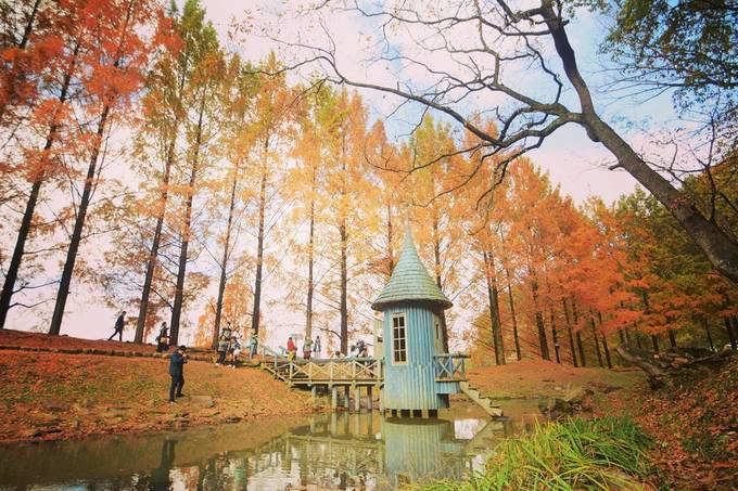 Công viên trẻ em Tove Jansson Akebono ở tỉnh Saitama, cách Tokyo tầm 40 km được xây theo kiểu các ngôi nhà trong truyện cổ tích Bắc Âu, tọa lạc giữa rừng cây lá đỏ lãng mạn vào mùa thu là điểm đến lý tưởng dành cho các gia đình. Đồng thời cũng là điểm chụp ảnh sống ảo mê ly.