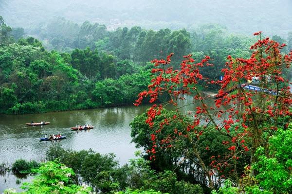 chi-diem-teen-ha-thanh-3-diem-chup-hoa-gao-dep-ngat-ngay-mua-nay-ivivu-1