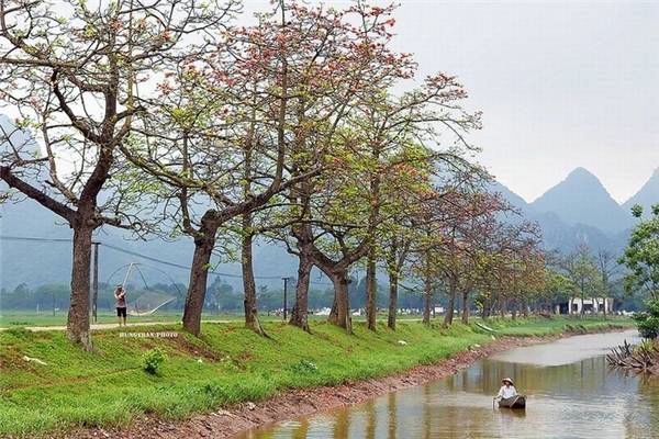 chi-diem-teen-ha-thanh-3-diem-chup-hoa-gao-dep-ngat-ngay-mua-nay-ivivu-10
