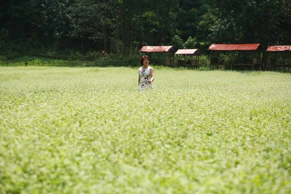 Thung lũng hoa Bắc Sơn nằm ở thôn Lân Khoang, xã Trấn Yên, huyện Bắc Sơn (Lạng Sơn) những ngày này trở nên thơ mộng và quyến rũ hơn bao giờ hết bởi những luống hoa bạt ngàn đa sắc màu khiến bất kỳ ai lạc vào cũng khó lòng rời bước. Ảnh: Tô Thị Thu Sen Thung lũng hoa Bắc Sơn nằm ở thôn Lân Khoang, xã Trấn Yên, huyện Bắc Sơn (Lạng Sơn) những ngày này trở nên thơ mộng và quyến rũ hơn bao giờ hết bởi những luống hoa bạt ngàn đa sắc màu khiến bất kỳ ai lạc vào cũng khó lòng rời bước. Ảnh: Tô Thị Thu Sen