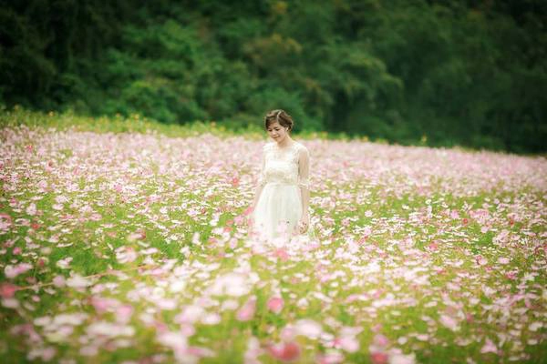 Trước đây, nơi này đã được biết đến với cánh đồng hoa tam giác mạch trắng. Hiện tại, thung lũng được cải tạo, trồng thêm nhiều loài hoa mới tạo nên cảnh sắc đẹp mê hồn quyến rũ du khách. Ảnh: Hoàng Hào Trước đây, nơi này đã được biết đến với cánh đồng hoa tam giác mạch trắng. Hiện tại, thung lũng được cải tạo, trồng thêm nhiều loài hoa mới tạo nên cảnh sắc đẹp mê hồn quyến rũ du khách. Ảnh: Hoàng Hào
