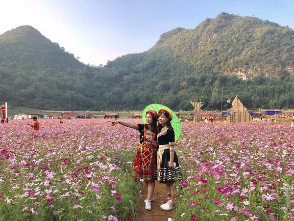 Thung lũng hoa Bắc Sơn trở thành điểm hẹn lý tưởng cho những người yêu hoa đến tham quan thưởng lãm và chụp ảnh. Ảnh: Hải Yến Thung lũng hoa Bắc Sơn trở thành điểm hẹn lý tưởng cho những người yêu hoa đến tham quan thưởng lãm và chụp ảnh. Ảnh: Hải Yến
