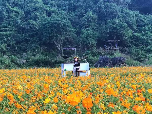 Nhiều bạn trẻ còn đầu tư thuê trang phục truyền thống để có bộ ảnh tạo dáng bên cánh đồng hoa cúc đẹp nhất. Ảnh: Hải Yến Nhiều bạn trẻ còn đầu tư thuê trang phục truyền thống để có bộ ảnh tạo dáng bên cánh đồng hoa cúc đẹp nhất. Ảnh: Hải Yến