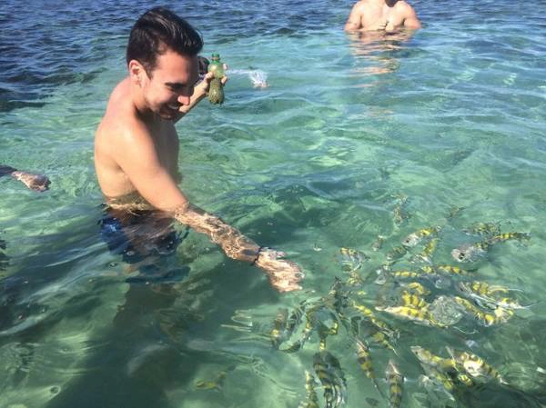 "Giao lưu" với sinh vật biển ở Porto de Galinhas - Ảnh: wp "Giao lưu" với sinh vật biển ở Porto de Galinhas - Ảnh: wp