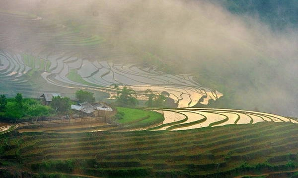 Ruộng bậc thang trong ánh hoàng hôn Ruộng bậc thang trong ánh hoàng hôn