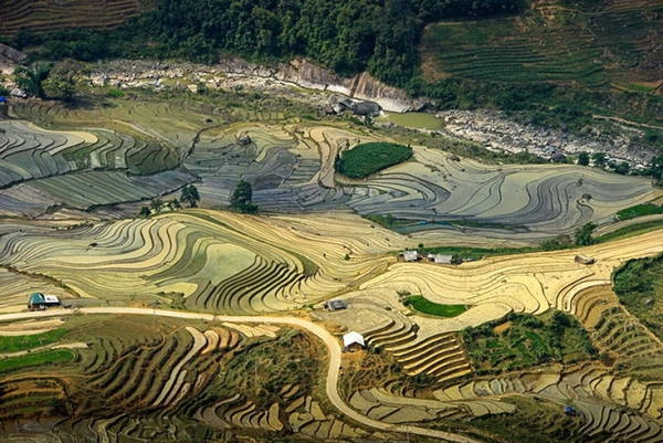 Khu ruộng thuộc xã A Lù trong nắng sớm Khu ruộng thuộc xã A Lù trong nắng sớm