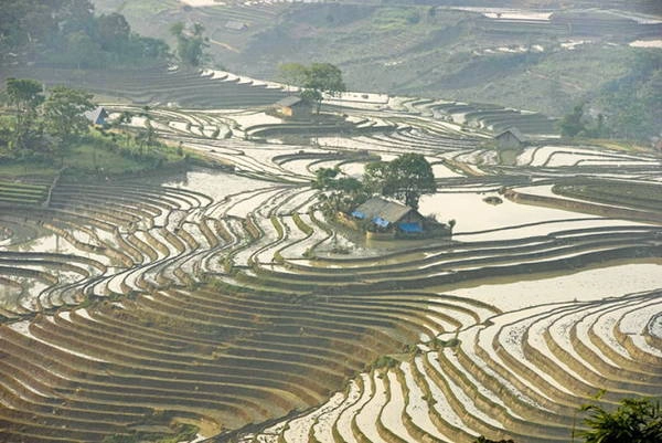 Năm nay trên địa bàn thuộc tỉnh Lào Cai có mưa nhiều vì thế các triền ruộng đã có nước sớm hơn mọi năm Năm nay trên địa bàn thuộc tỉnh Lào Cai có mưa nhiều vì thế các triền ruộng đã có nước sớm hơn mọi năm