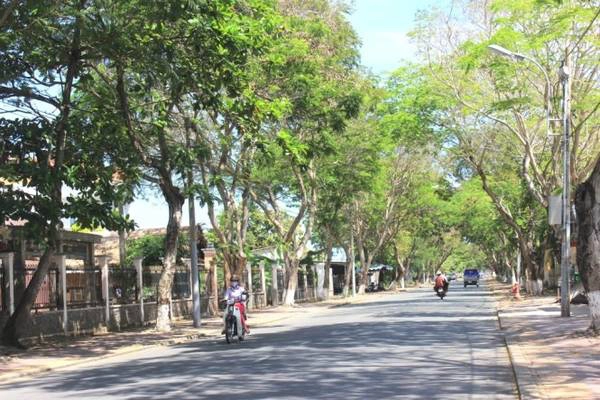 Cần Giờ có rất nhiều con đường với tán cây xanh mát.
