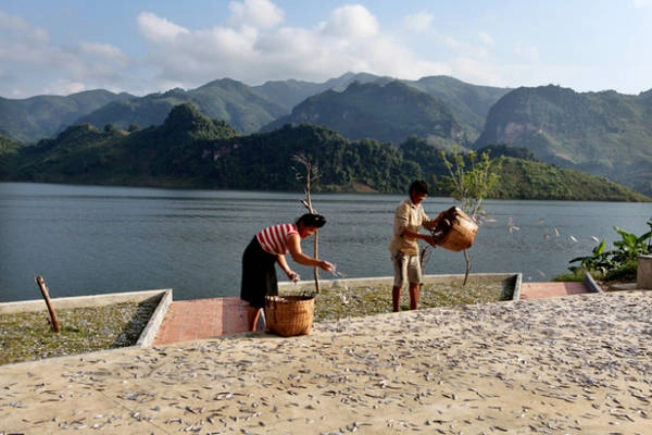 Phơi cá - Ảnh: Đức Hùng Phơi cá - Ảnh: Đức Hùng
