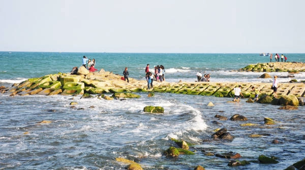 Những đoạn kè chống xói lở bờ biển bám đầy rêu xanh - Ảnh: Dương Thanh Xuân