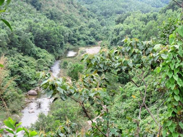  Du khách có thể ngẫu hứng ghé vào những con suối nhỏ bắt nguồn từ rừng sâu chảy ra sát ven quốc lộ 14G - Ảnh: THANH LY