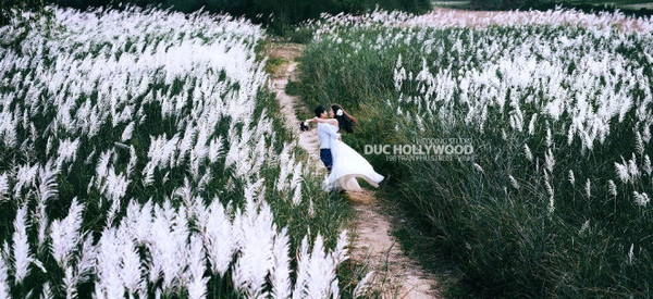 Vào mùa lau, cảnh sắc nơi này thật sự như thiên đường - Ảnh: Đức Hollywood Vào mùa lau, cảnh sắc nơi này thật sự như thiên đường - Ảnh: Đức Hollywood