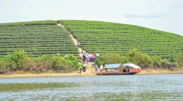 Thuyền máy là phương tiện di chuyển đến các đảo chè - Ảnh: LĨNH HỒNG