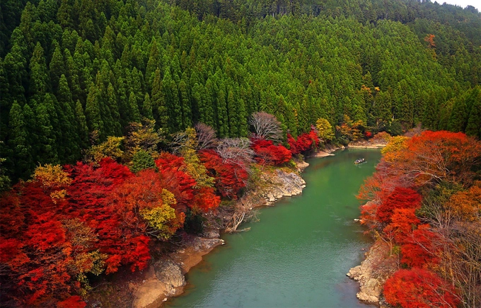 Rừng tre Arashiyama nằm trong khu bảo tồn thiên nhiên rộng khoảng 16 ha, tại quận Arashiyama, ngoại ô phía tây thành phố Kyoto. Nơi này đã nổi tiếng từ thời Heian (794-1185), khi tầng lớp quý tộc lựa chọn đến đây để nhìn ngắm vẻ đẹp thiên nhiên bên cạnh các cảnh sắc khác như hoa anh đào và rừng lá chuyển màu vào mùa thu. Ảnh: DevianArt.