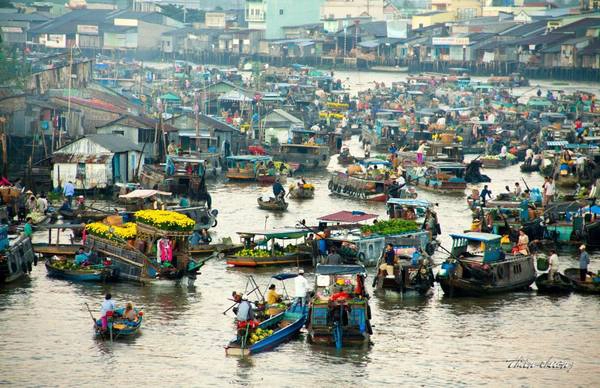 Chợ nổi nhộn nhịp buổi sớm mai.