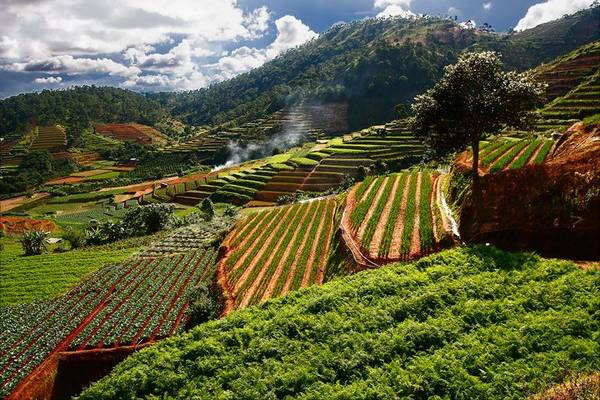 Vẻ đẹp yên bình của Trại Mát. Vẻ đẹp yên bình của Trại Mát.