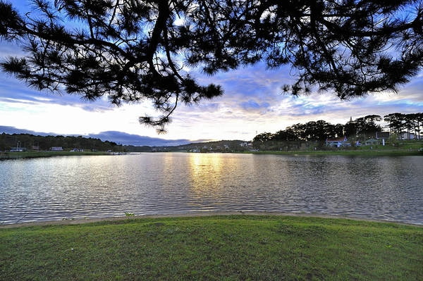 Đà Lạt chào đón du khách bằng cái se lạnh cùng nét quyến rũ đến từ cảnh sắc xung quanh. Đà Lạt chào đón du khách bằng cái se lạnh cùng nét quyến rũ đến từ cảnh sắc xung quanh.