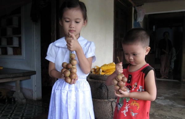 Chùm dâu da là món quà yêu thích của trẻ thơ - Ảnh: MINH KỲ Chùm dâu da là món quà yêu thích của trẻ thơ - Ảnh: MINH KỲ
