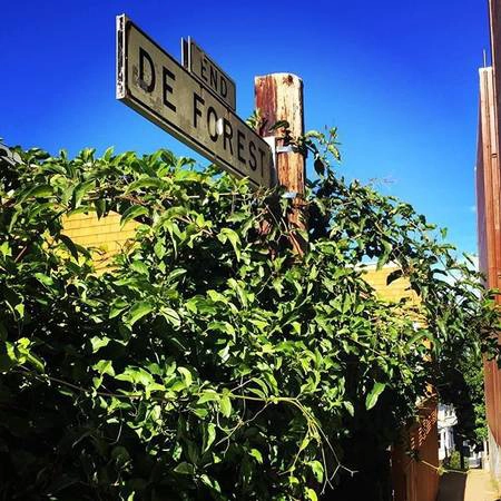De Forest Way, con đường hẹp nhất San Francisco - Ảnh: flickr De Forest Way, con đường hẹp nhất San Francisco - Ảnh: flickr