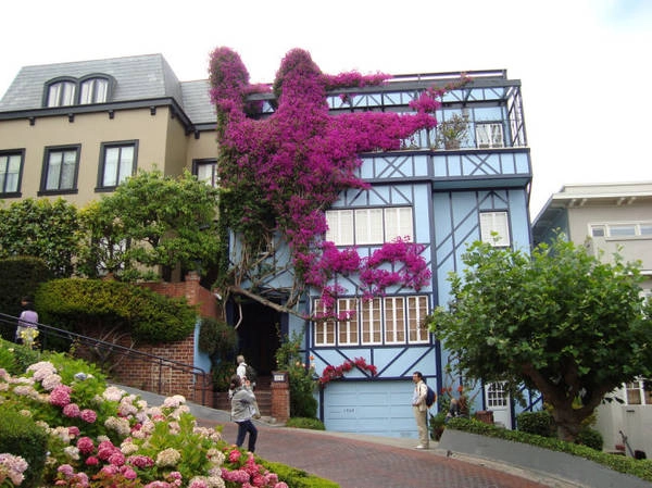 Một căn nhà xinh xắn trên đường Lombard Street - Ảnh: flickr Một căn nhà xinh xắn trên đường Lombard Street - Ảnh: flickr