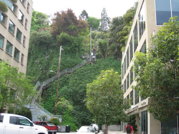 Cầu thang trên đường Filbert Street - Ảnh: wiki Cầu thang trên đường Filbert Street - Ảnh: wiki