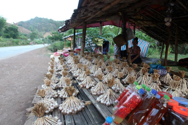 Một buổi chiều không lời ở Chiềng Đông - Ảnh: Băng Giang Một buổi chiều không lời ở Chiềng Đông - Ảnh: Băng Giang