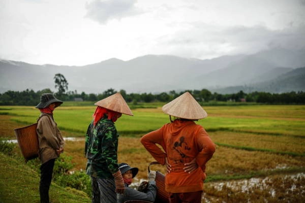 Những người nông dân huyện Lắk nghỉ ngơi sau trận mưa - Ảnh: TIẾN THÀNH Những người nông dân huyện Lắk nghỉ ngơi sau trận mưa - Ảnh: TIẾN THÀNH