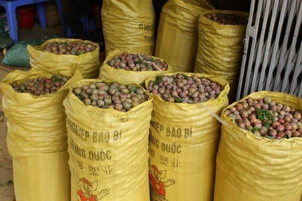 Sau đó được đóng từng bao tải, vận chuyển xuống miền xuôi tiêu thụ - Ảnh: Huyền Trần Sau đó được đóng từng bao tải, vận chuyển xuống miền xuôi tiêu thụ - Ảnh: Huyền Trần