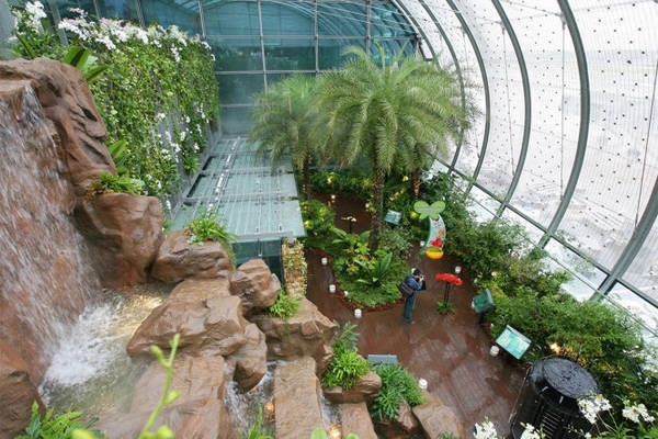 Vườn bướm ở sân bay quốc tế Changi, Singapore - Ảnh:ibtimes Vườn bướm ở sân bay quốc tế Changi, Singapore - Ảnh:ibtimes