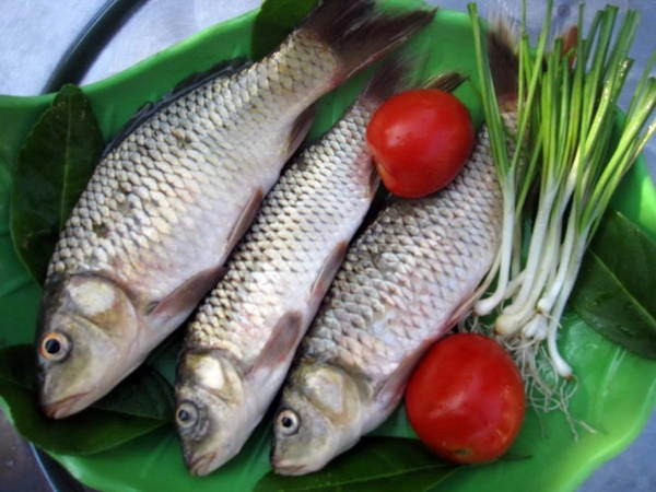 Cá chép mới đánh bắt còn tươi rói - Ảnh: MINH KỲ Cá chép mới đánh bắt còn tươi rói - Ảnh: MINH KỲ