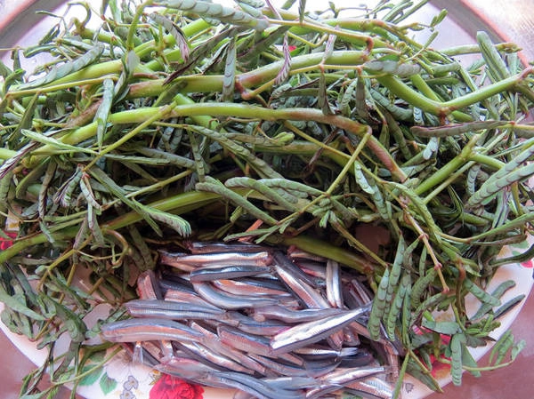 Nguyên liệu để chế biến món canh cá cơm nấu với rau giút - Ảnh: Minh Kỳ Nguyên liệu để chế biến món canh cá cơm nấu với rau giút - Ảnh: Minh Kỳ