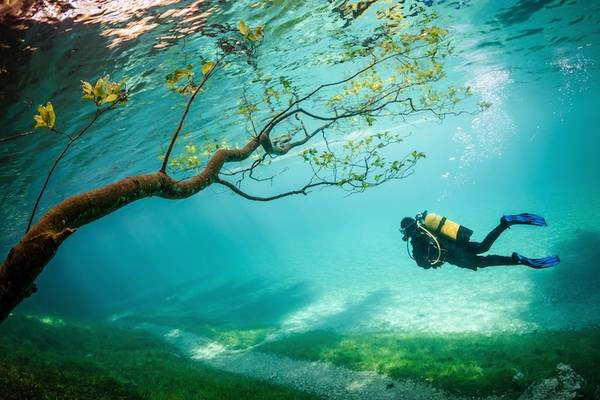 Diver in Magic Kingdom