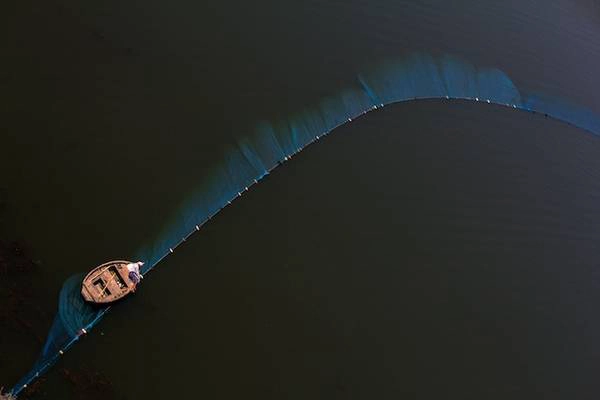 Solitary Fisherman