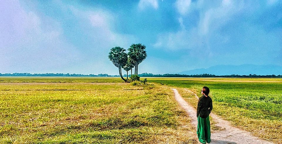 Cây thốt nốt hình trái tim (An Giang): Thốt nốt là một loại cây đặc trưng của vùng đất An Giang với hình dáng bên ngoài giống cây dừa và lá cọ. Cây thốt nốt hình trái tim tọa lạc tại Tri Tôn, An Giang. Hình ảnh trái tim từ cây thốt nốt khiến nhiều người thích thú, thu hút nhiều bạn trẻ du lịch đến đây đều không thể bỏ lỡ cơ hội “sống ảo” với loại cây này. Ảnh: Foody.